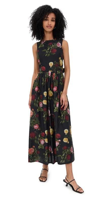 Damaris Bailey Marisela Dress Midnight Rose Print