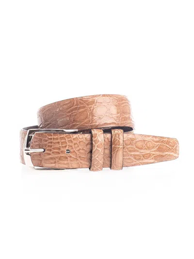 D'amico Belts In Brown