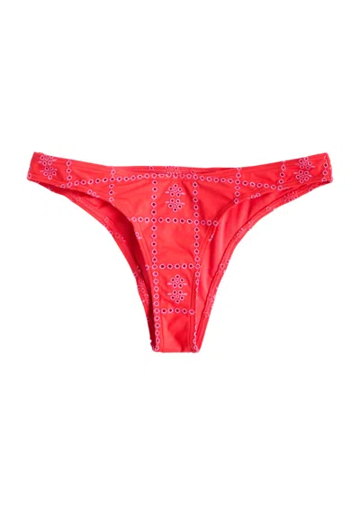 Damson Madder Embroidered Bikini Briefs