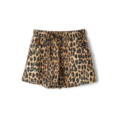 Damson Madder Leopard Pull On Shorts Brown In Animal Print