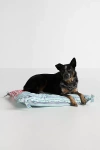 Damson Madder Patchwork Print Pet Bed In Blue