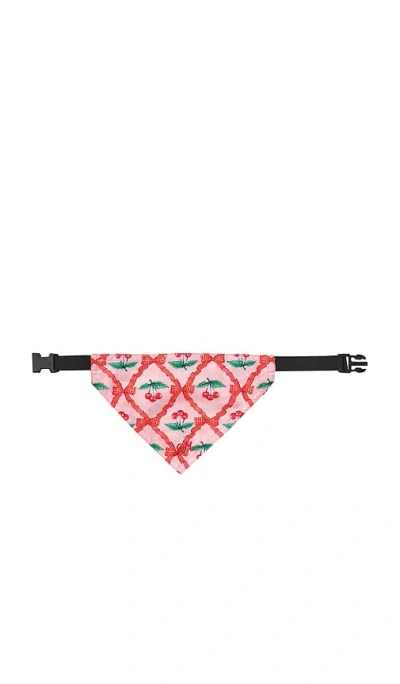 Damson Madder Pet Neckerchief In Pink