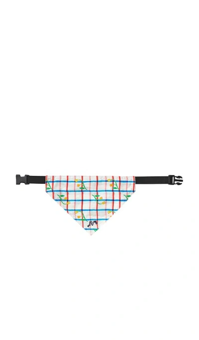 Damson Madder Pet Neckerchief In Blue