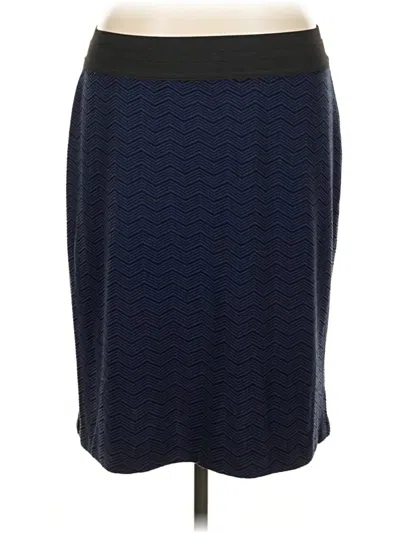 Pre-owned Dana Buchman Casual Skirt In Blue
