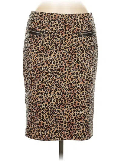 Pre-owned Dana Buchman Casual Skirt In Brown