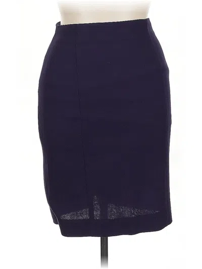 Pre-owned Dana Buchman Formal Skirt In Purple