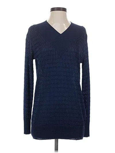 Pre-owned Dana Buchman Pullover Sweater In Blue