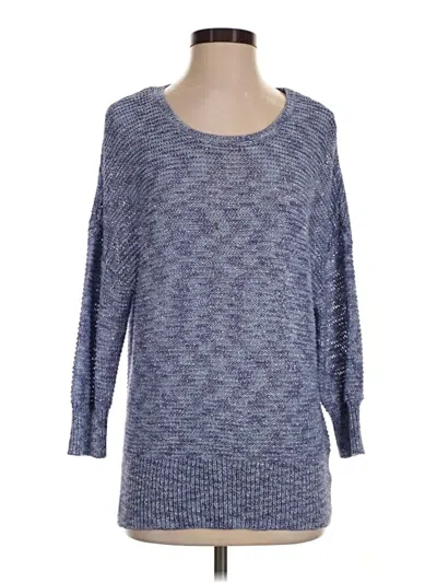 Pre-owned Dana Buchman Pullover Sweater In Blue