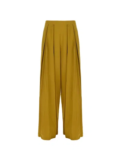 Danamè Pleated Palazzo Pants In Green