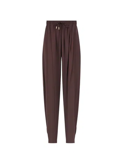Danamè Sana Drawstring-waist Pleated Trousers In Brown