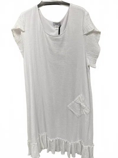 Daniali Women's Lined Gauze Dress In White