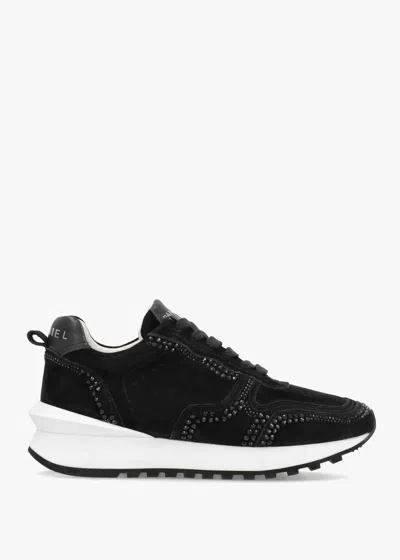 Daniel Arabella Black Suede Crystal Embellished Trainers
