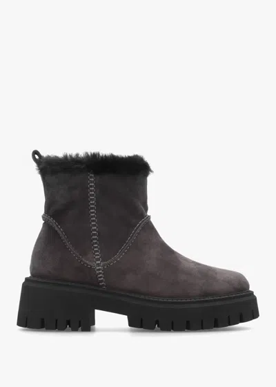 Daniel Dark Grey Suede Chunky Ankle Boots In Brown
