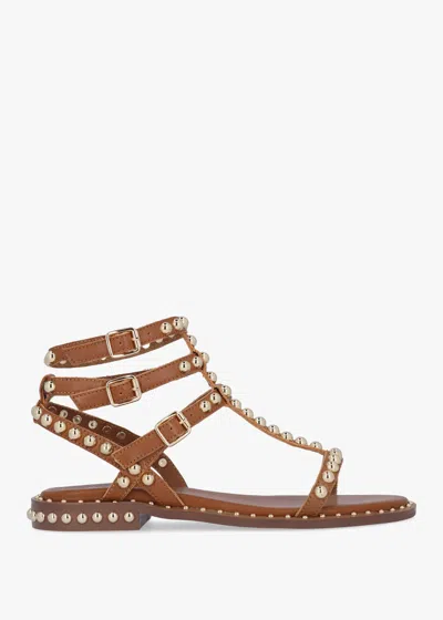 Daniel Eternal Tan Leather Studded Gladiator Sandals