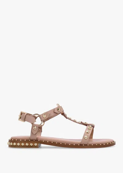 Daniel Everlast Nude Leather T Bar Studded Sandals In Brown