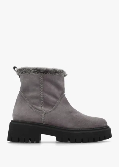 Daniel Light Grey Suede Chunky Ankle Boots In Gray