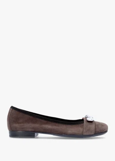 Daniel Linky Grey Suede Embellished Ballet Pumps