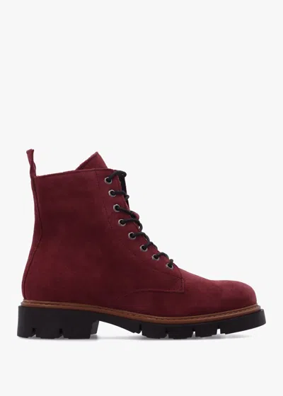 Daniel Lissy Red Suede Lace Up Ankle Boots In Multi