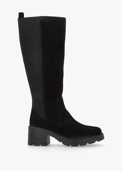 Daniel Luxor Black Suede Block Heel Knee Boots In Brown