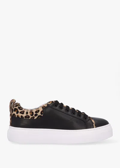 Daniel Panny Black Leather Leopard Trainers