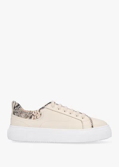 Daniel Panny Cream Leather Reptile Trainers In Neutral