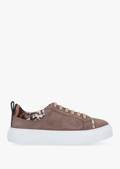 Daniel Panny Taupe Suede Reptile Trainers