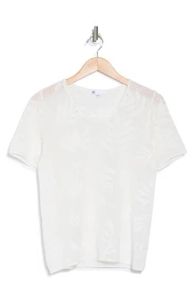 Daniel Rainn Cotton Jacquard Short Sleeve Sweater