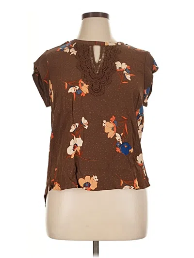 Pre-owned Daniel Rainn Short Sleeve Blouse In Brown