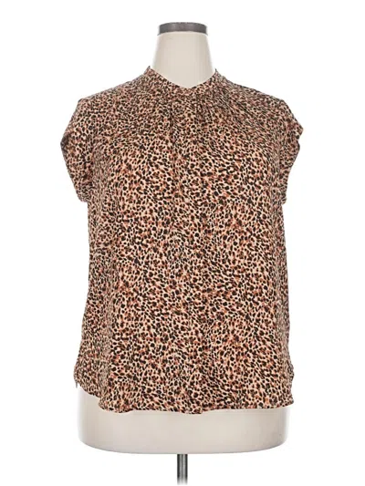 Pre-owned Daniel Rainn Sleeveless Blouse In Brown