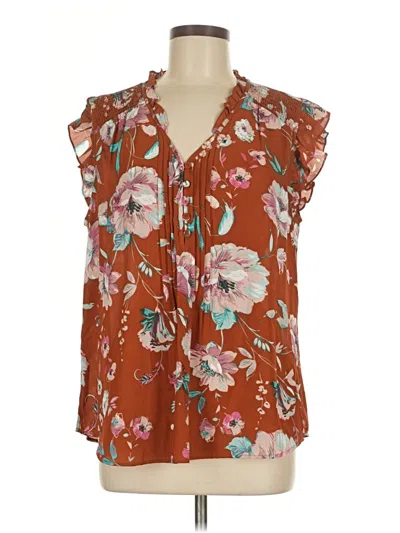 Pre-owned Daniel Rainn Sleeveless Blouse In Brown