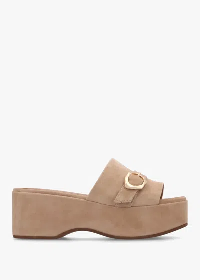 Daniel Slate Beige Suede One Bar Flatform Mules In Neutral