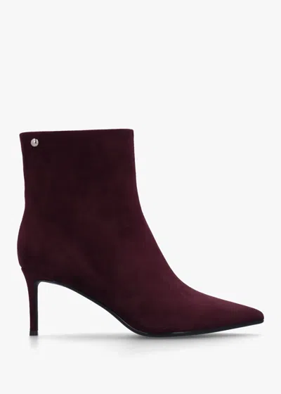 Daniel Swift Burgundy Suede Mid Heel Ankle Boots In Multi