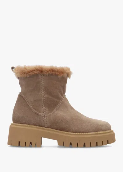 Daniel Taupe Suede Chunky Ankle Boots In Brown