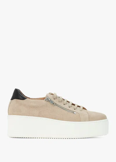 Daniel Tippy Taupe Suede Flatform Trainers