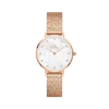 Daniel Wellington Petite Lumine Pressed Piano Rose Gold-tone Ladies Watch In Gold