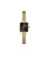 Daniel Wellington Unisex Analog Gold-tone Stainless Steel Mesh Watch, 15mm