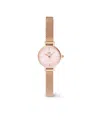 Daniel Wellington Women's Analog Rose Gold Tone Stainless-steel Watch, 19mm
