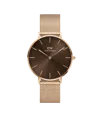 Daniel Wellington Petite Amber 28mm Watch In Gold