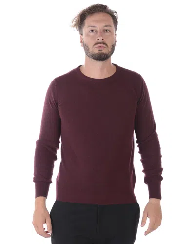 Daniele Alessandrini Sweater In Purple
