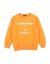 Daniele Alessandrini Toddler Boy Sweatshirt Orange Size 4 Cotton, Elastane In Orange