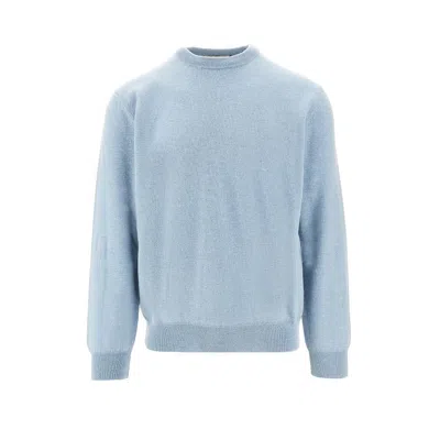 Daniele Fiesoli 'botanica' Cashmere Crewneck Sweater In Blue