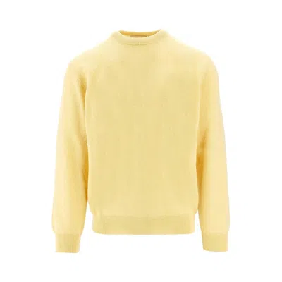 Daniele Fiesoli 'botanica' Cashmere Crewneck Sweater In Yellow