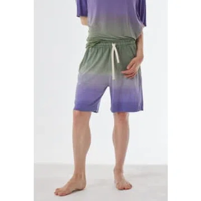 Daniele Fiesoli Linen Faded Design Shorts Green/purple