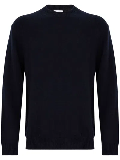 Daniele Fiesoli Sweaters In Blue