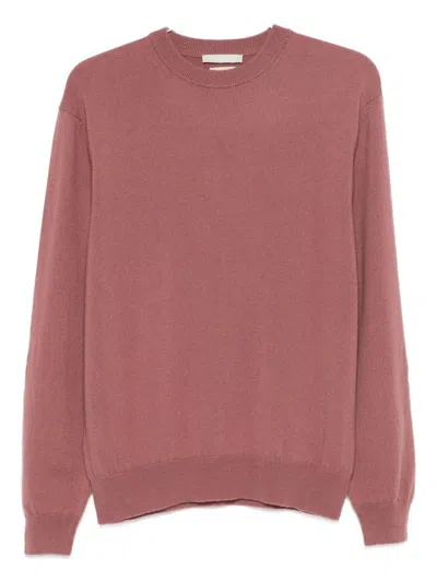 Daniele Fiesoli Crew-neck Sweater In Pink