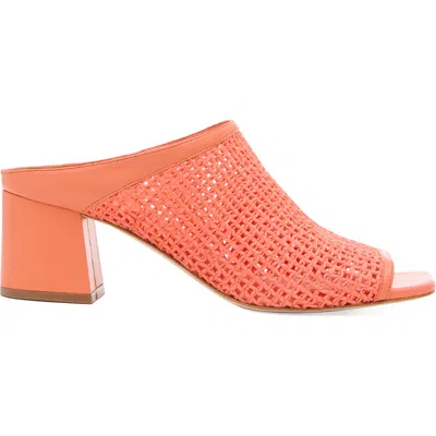 Daniella Shevel Salma Sandal In Coral