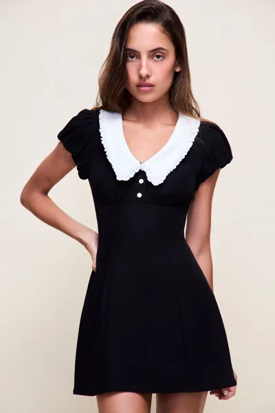 Danielle Guizio Ny Jane Eyelet Mini Dress In Black
