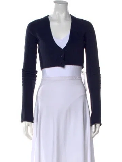 Pre-owned Danielle Guizio V-neck Sweater In Blue