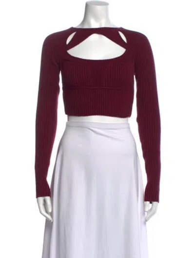 Pre-owned Danielle Guizio V-neck Sweater In Burgundy
