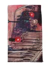 D'aniello Perla Abstract-print Scarf In Multi
